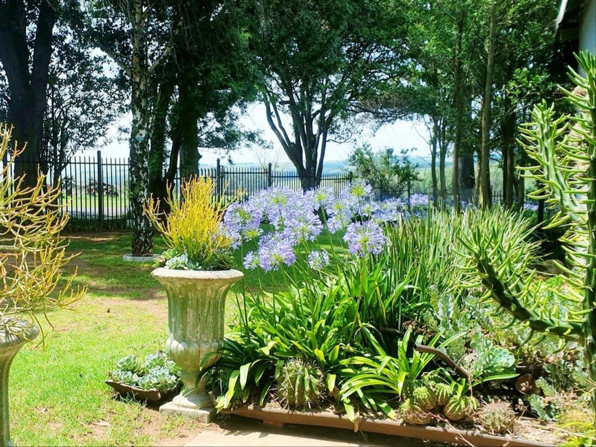 Carolina Rand Self-Catering Accommodation מראה חיצוני תמונה